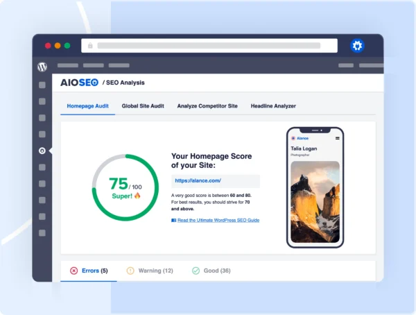 A snapshot of AIOSEO’s SEO Audit Checklist feature