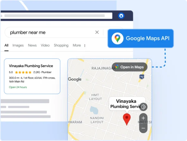 AIOSEO’s Local SEO features A snapshot of AIOSEO’s Local SEO features
